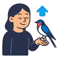 suitsupääsuke — illustration of barn swallow