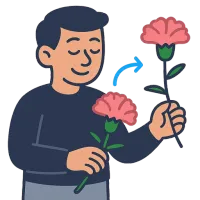 nelk — illustration of carnation