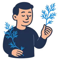 till — illustration of dill