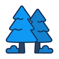 mets — illustration of forest