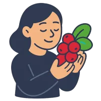 pohl — illustration of lingonberry