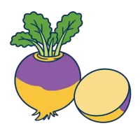 kaalikas — illustration of rutabaga
