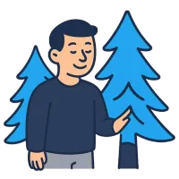 kuusk — illustration of spruce