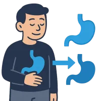 kõht — illustration of stomach