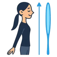 peenike — illustration of thin, slender