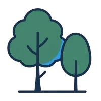 puu — illustration of tree